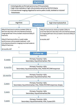 Imaging Biomarkers in Prostate Stereotactic Body Radiotherapy: A Review and <mark class="highlighted">Clinical Trial Protocol</mark>
